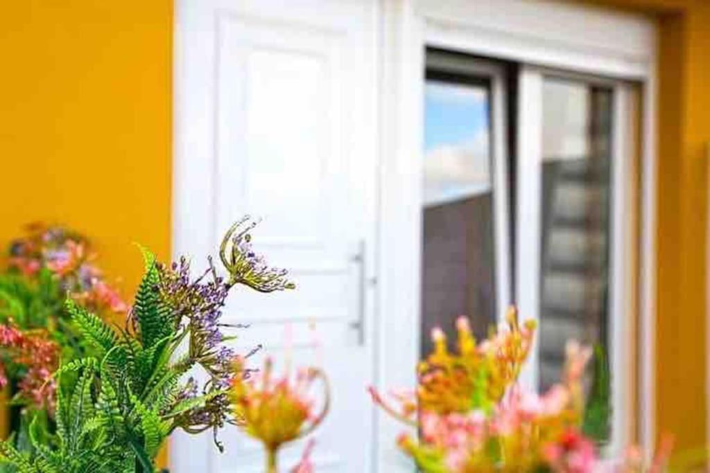 Waters House Studio Peniche Exterior foto